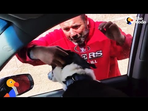 Homem reencontra o seu cão perdido