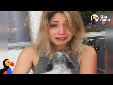 Ela recebe um cachorro-surpresa depois de perder o seu cão