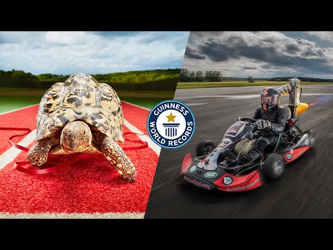 Recordes de velocidade inacreditáveis