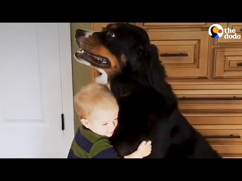 Crianças e cães que crescem juntos