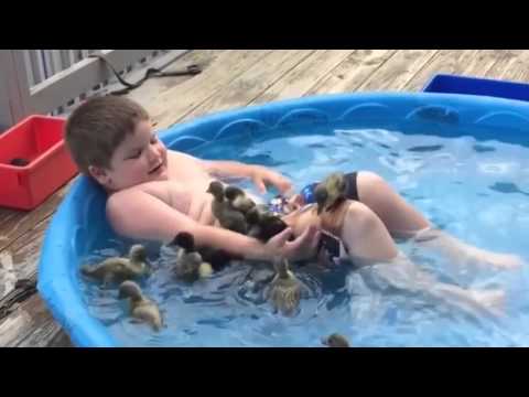 O melhor de animais fofos e engraçados de 2015