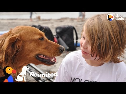 Cão surfista reencontra o rapaz que ajudou