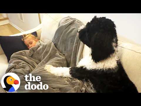 O cão que está sempre ao lado da sua melhor amiga