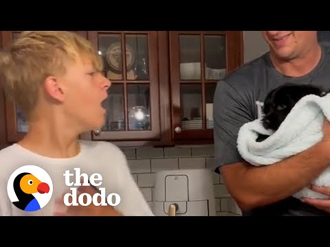 Crianças recebem cachorros-surpresa e não conseguem conter a alegria