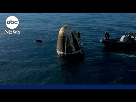 Golfinhos recebem astronautas no regresso à Terra