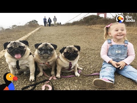 Crianças e cães que crescem como melhores amigos