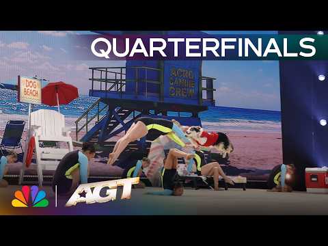 Acro Canine Crew Transforma o AGT numa Festa de Praia