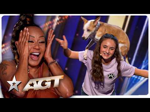 Cães com talento: audições incríveis
