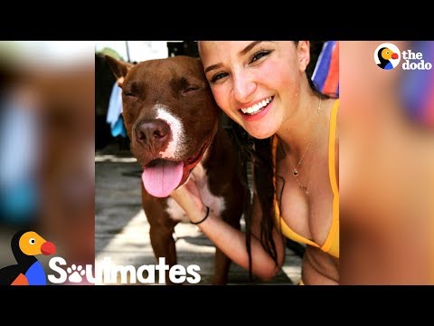 Cão de resgate sabe confortar a sua pessoa