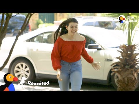 Cães em êxtase quando a jovem volta da universidade
