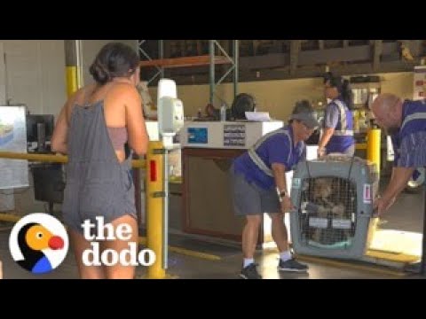 Uma adopção que termina num pequeno milagre